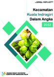 Kecamatan Kuala Indragiri Dalam Angka 2022
